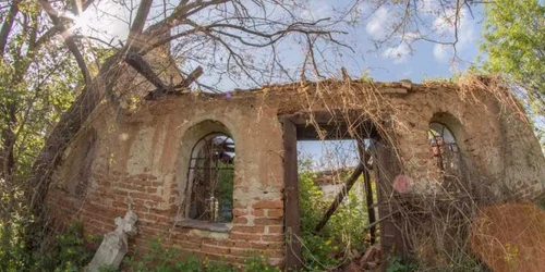 curpenii silvasului foto lucian ignat