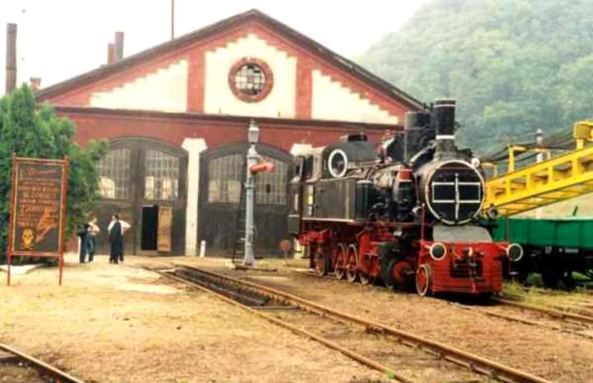 Una dintre locomotivele exportate. FOTO: IPJ Hunedoara.