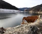 Lacul Gura Apelor din Retezat Foto Daniel Guță ADEVĂRUL (21) JPG