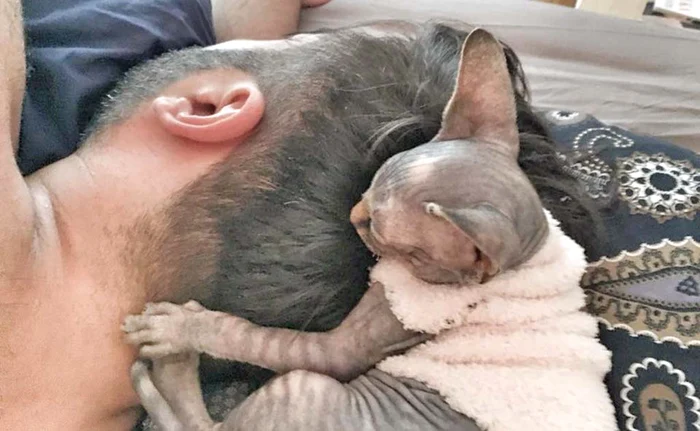 Designerul Răzvan Ciobanu adora pisicile, chiar dacă trăia din vânzarea lor