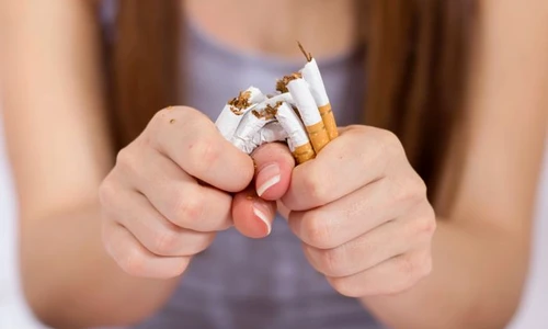 1 shutterstock 376916296 jpg jpeg