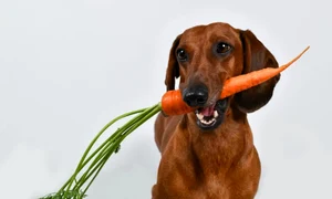image png
