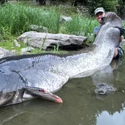 Screenshot 2025 08 17 085449 png