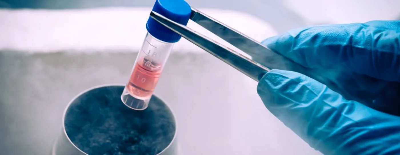 Studiile medicale care implică celule stem au luat amploare în ultimii ani