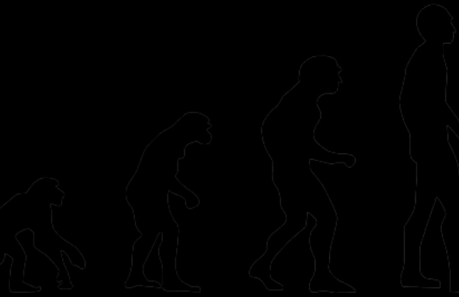 O nouă lege a naturii: Evoluția ca proces universal