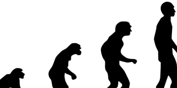 darwin