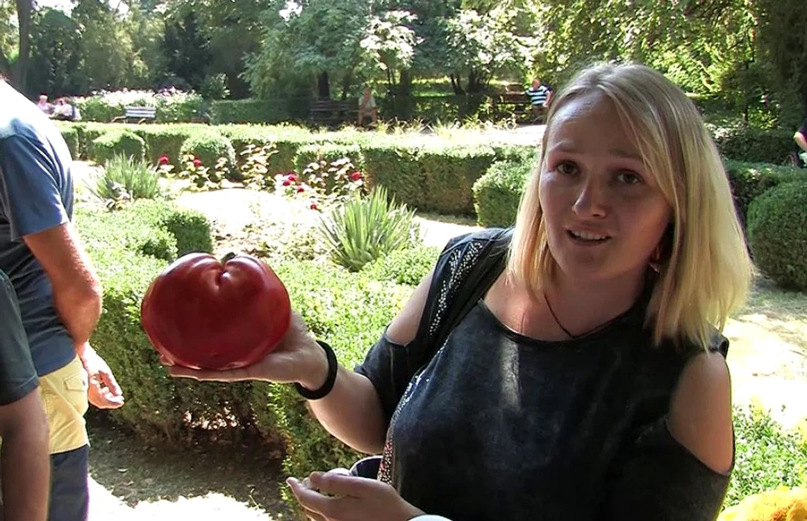 Festivalul tomatelor