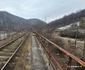 Podul peste Olt valea Fratelui  Foto Daniel Guță ADEVĂRUL   (2) jpg
