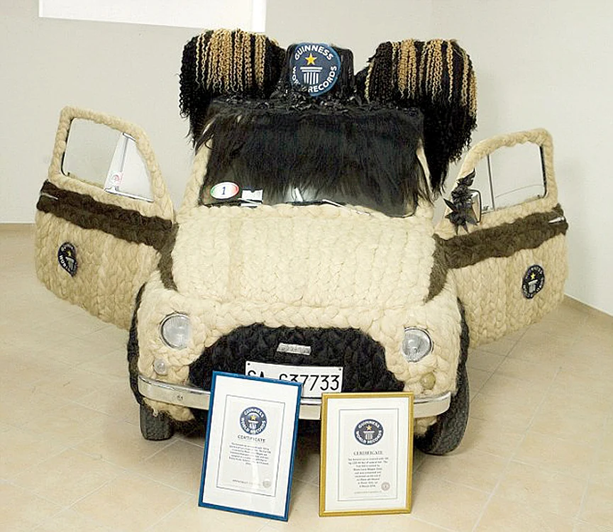 
    Automobilul a  intrat în Cartea  Recordurilor  după ce a fost  „înfrumuseţat”  