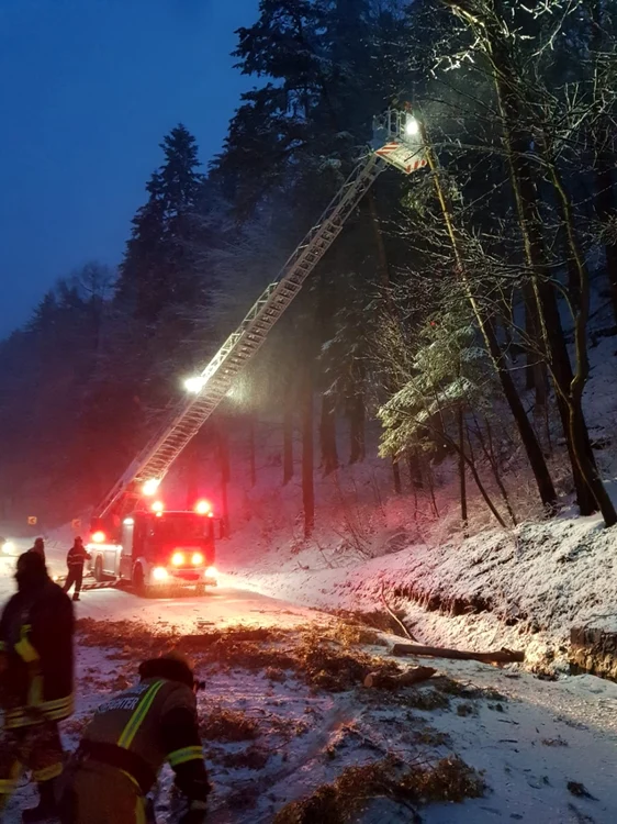 Traficul a fost blocat pe DN1 la Azuga pentru ca pompierii să îndepărteze pomul aplecat sub greutatea zăpezii FOTO ISU