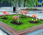 Amenajări florale pe străzile şi în parcurile din Râmnicu Vâlcea Foto Primăria Râmnicu Vâlcea