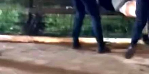 politista agresata jpg