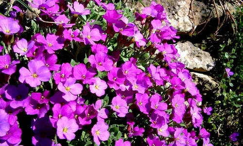 1 60249 original jpg jpeg