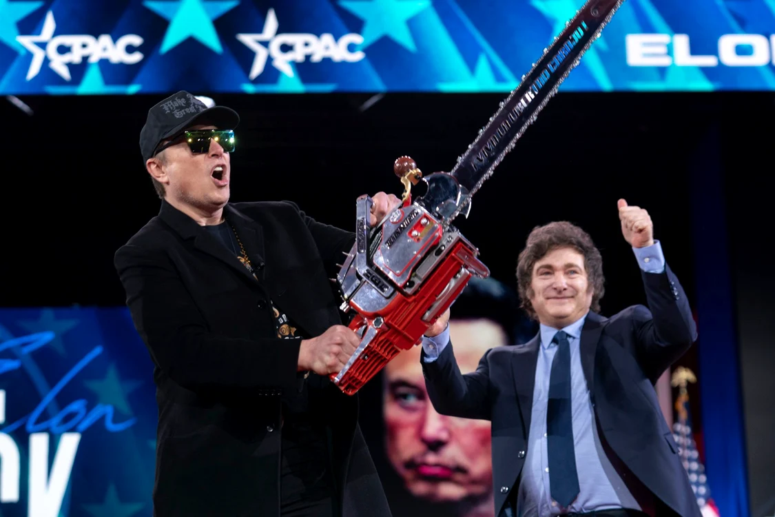 Intervențiile lui Musk nu au avut efectul scontat în România și în Europa. FOTO: Profimedia