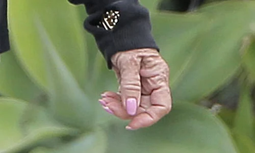 Exclusive Goldie Hawn's Hands Are Really Showing Her Age jpeg