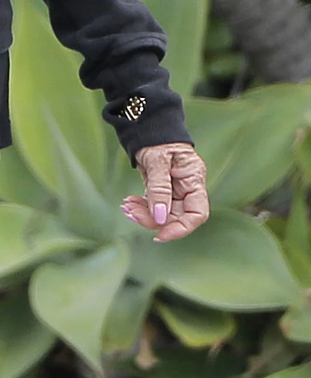 Exclusive    Goldie Hawn's Hands Are Really Showing Her Age jpeg