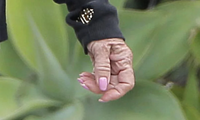 Exclusive Goldie Hawn's Hands Are Really Showing Her Age jpeg