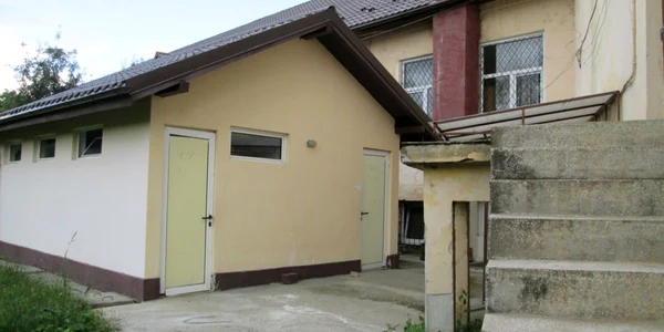 Valcea - scoli