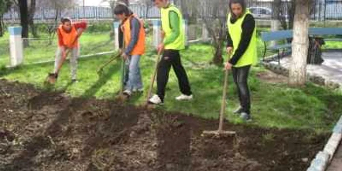 Liceenii au amenajat parcul şcolii