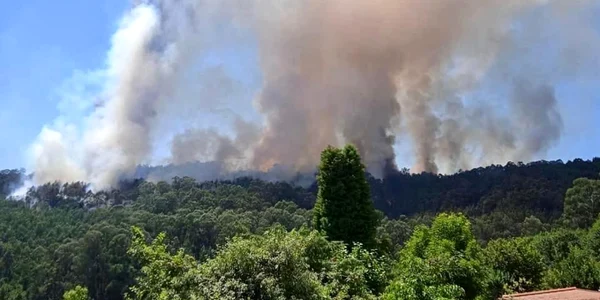 incendii in portugalia foto facebook