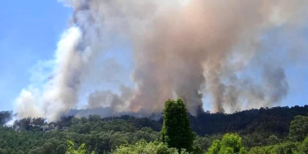 incendii in portugalia foto facebook