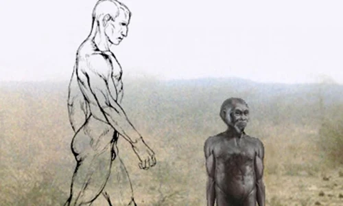 Hobbiţii, o specie de hominizi care a dispărut în urmă cu 13 000 de ani jpeg