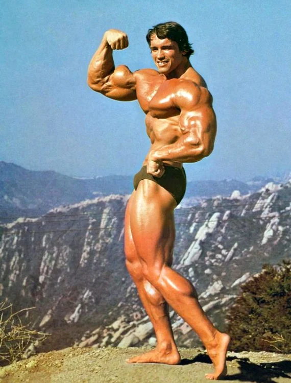 Arnold Schwarzenegger Foto: arhivă Click! 