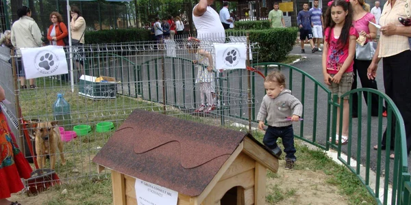 Primul targ de adopti de caini organizat la Gradina Zoologica