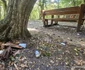 Cheile Turzii Foto Daniel Guță ADEVĂRUL (50) jpg