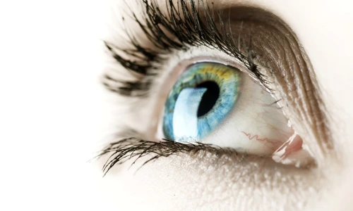 1 ochi iris shutterstock 74920081 jpg jpeg