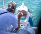 Sorin Brotnei și Niculai Tand sunt în finala Asia Express foto: Antena 1
