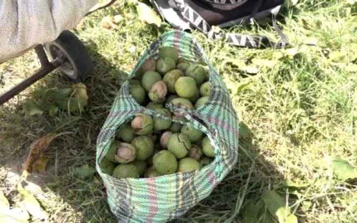 Septuagenarul a lăsat victima fără sacoşa cu nuci