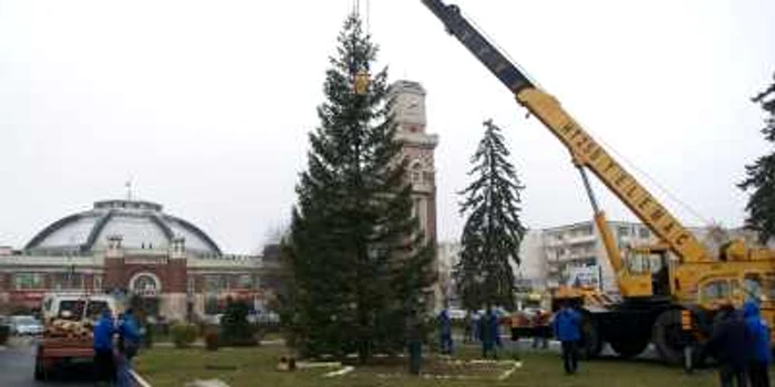 Primul brad din această iarnă a fost ridicat în parcul din faţa Halelor Centrale Foto: Alex Policală