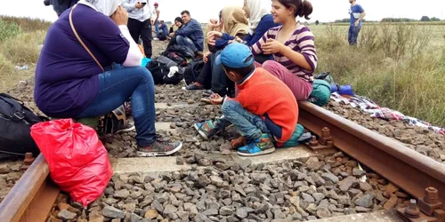 refugiati foto dani dancea