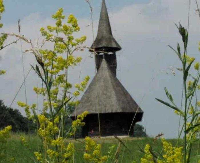 Imagine din incinta Parcului Etnografic din Cluj  FOTO: Adevărul