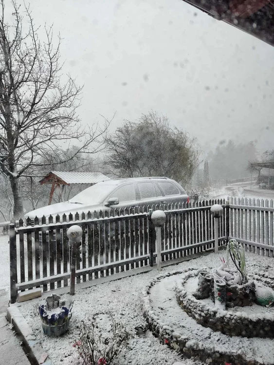 La munte ninge de câteva ore. SURSA Prefectura Buzău
