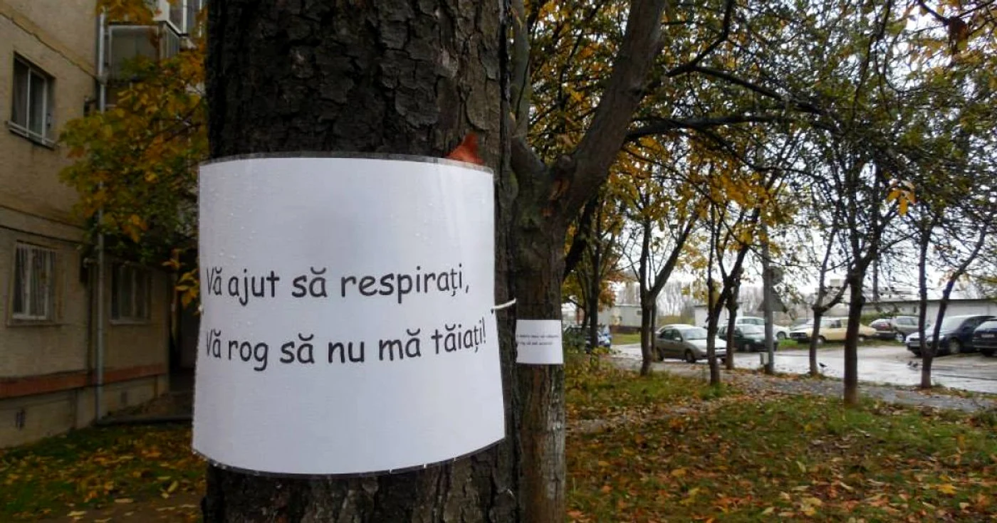 Mesaje pe copacii de pe Aleea Azurului