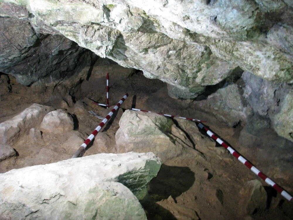 Săpături efectuate de arheologi în peștera „Șura Dracului” (foto: D. Pop, D. Conțiu, T. Minghiraș / Muzeul Județean de Istorie și Arheologie Maramureș)