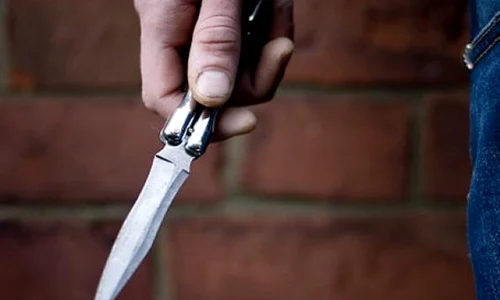 cutit realitateadeharghita.ro