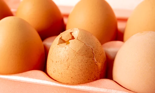 ou_shutterstock 2084409496 jpg