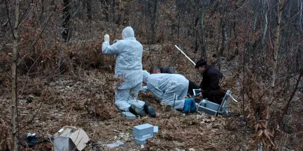 Anchetatorii au căutat indicii în pădurea în care criminalul a ascuns cadavrul Denisei sub un maldăr de frunze