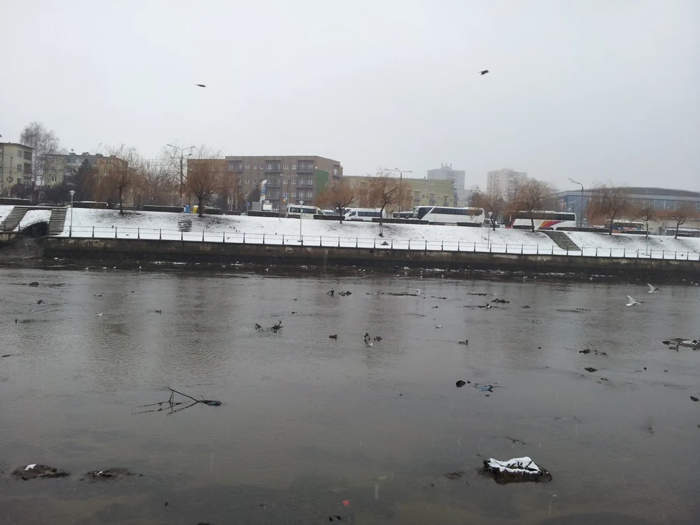 E posibil ca nivelul râului Someş să crească în perioada următoare. FOTO: Remus Florescu
