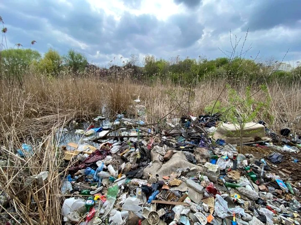 Lacul Fundeni este plini de gunoaie, astfel că lebăda abia se vede printre eleFoto: Facebook/Radu Mihaiu