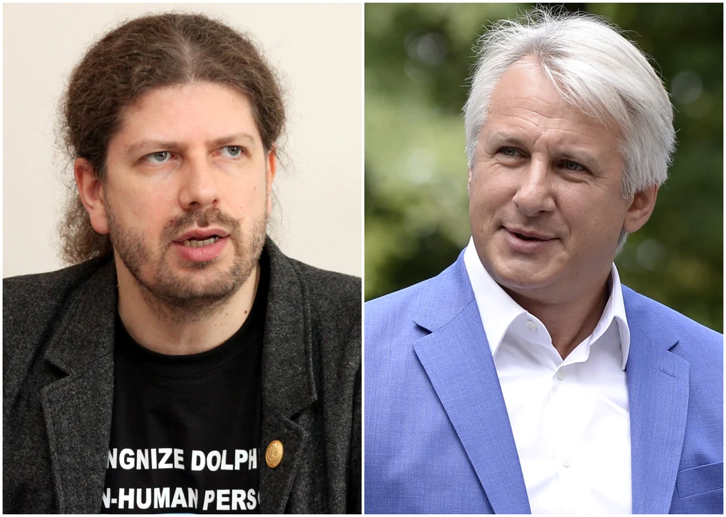Cernea și Teodorovici au spus că vor candida sigur la prezidențiale FOTO Colaj Adevărul/Mediafax