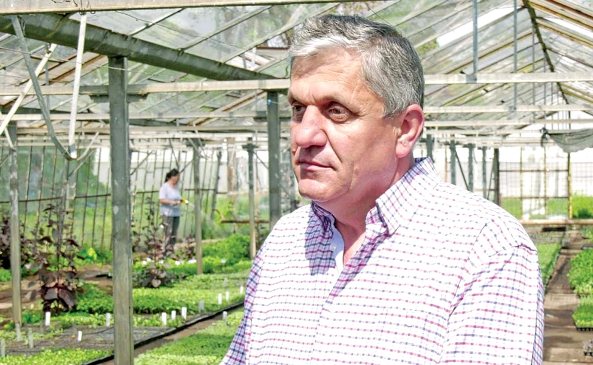 
    Academicianul Costel Vânătoru, de la Staţiunea de Cercetare şi Dezvoltare pentru Legumicultură din Buzău, spune că stevia va fi cultivată în curând şi în România  