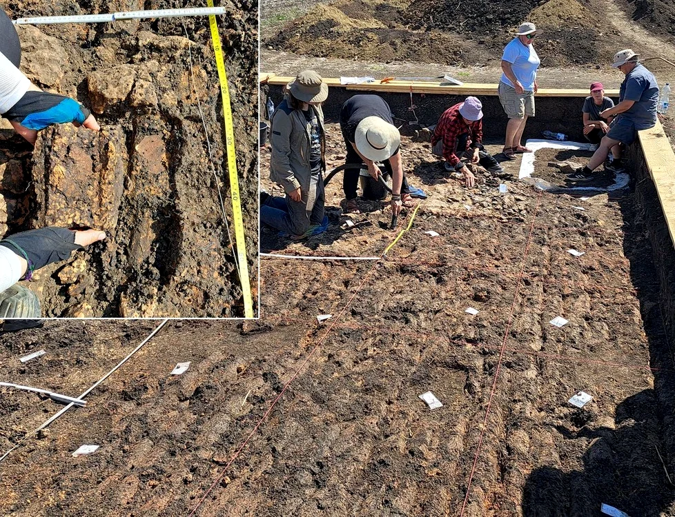 Clădire de 6.000 de ani, descoperită în Botoșani / FOTO: PLOS One