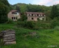 Muntii Poiana Rusa zona Ruschița Foto Daniel Guță  ADEVĂRUL (23) jpg