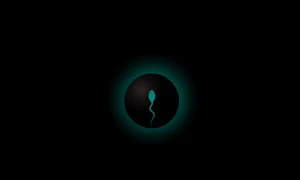 pregnant 4646972 1280 jpg