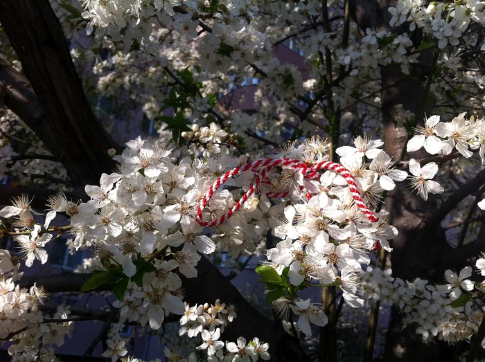 Artizani români câștigă bani frumoși în luna Martie / foto: Pixabay