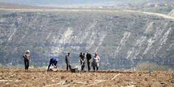 Populaţia de la sate are un venit mediu lunar cu 62% mai mic decât orăşenii FOTO: Eduard Bâzgu